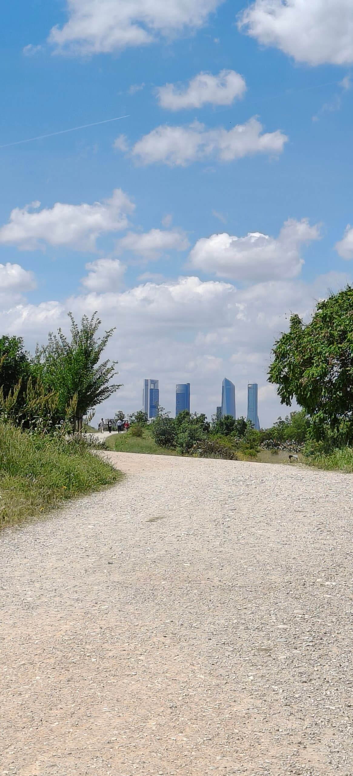 Parque Valdebebas: Naturaleza y vistas espectaculares en familia 4